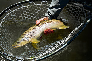 Fish Like Water - Skwala Fishing