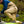 Load image into Gallery viewer, Backeddy Wader - Skwala Fishing
