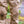 Load image into Gallery viewer, Backeddy Wader - Skwala Fishing