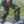 Load image into Gallery viewer, Carbon Wader - Skwala Fishing