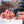 Load image into Gallery viewer, Fusion Snap T - Skwala Fishing