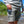 Load image into Gallery viewer, Sol Short - Skwala Fishing