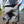 Load image into Gallery viewer, Sol Short - Skwala Fishing