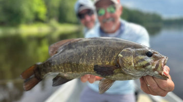 Are Smallmouth Better than Trout? - Skwala Fishing