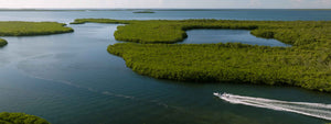 Belize Conservation
