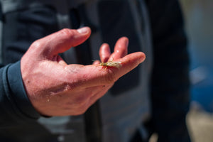 Big Dry Flies in the Depths of Winter? - Skwala Fishing