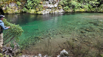 Buy the Damn Ticket - Skwala Fishing