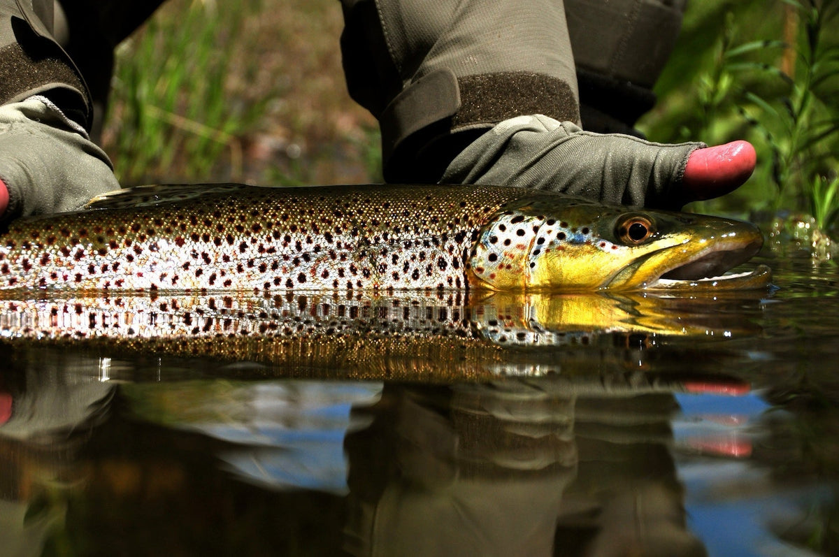 Improve Casting Accuracy with a Simple Daily Practice | Skwala Fishing