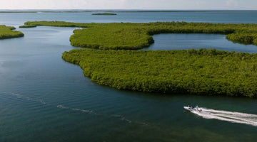 Don't Mess with Flats Guides: The Belizean flats protection story you might have missed - Skwala Fishing