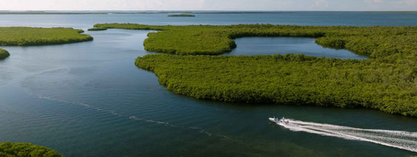 Don't Mess with Flats Guides: The Belizean flats protection story you might have missed - Skwala Fishing