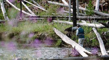 High-Country Escapism - Skwala Fishing