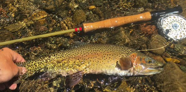 Skwala Proudly Partners with Backcountry Hunters and Anglers - Skwala Fishing