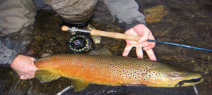 Streamer Size Matters, But Bigger Isn't Better - Skwala Fishing