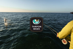 Tarpon Are Even Cooler Than You Think - Skwala Fishing