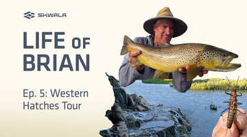 The Life of Brian Volume 5: Western Hatches - Skwala Fishing