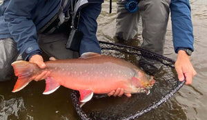 Alaska Bead Fishing