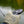Thermo 300 Fingerless Glove - Skwala Fishing