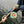 Thermo 300 Fingerless Glove - Skwala Fishing
