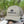 Icon Mid Trucker - Skwala Fishing