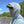 Sol Tactical Hoody - Skwala Fishing